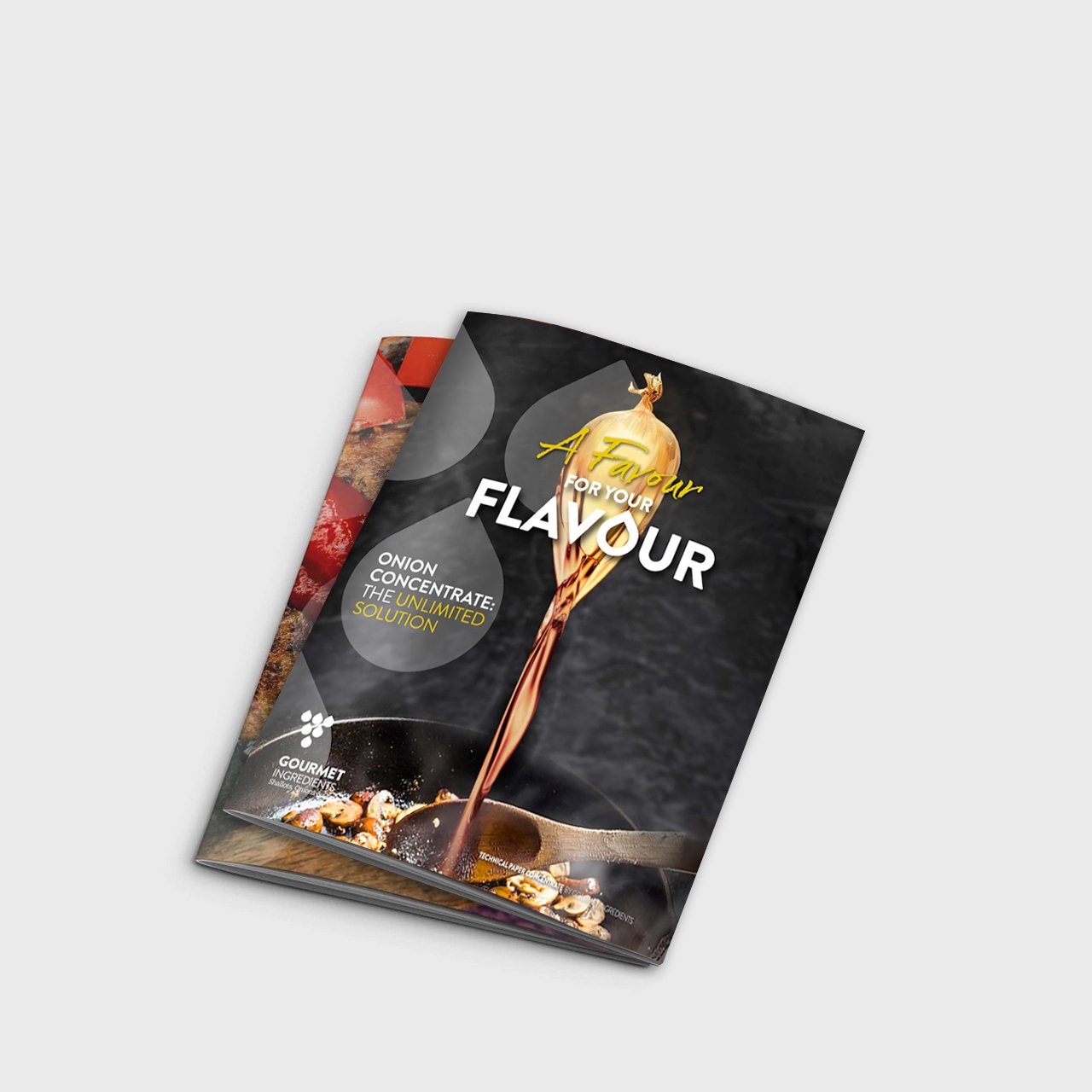 Technical paper smoked onion concentrate