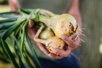 Whitepaper: The post-pandemic food supply chain - Part two